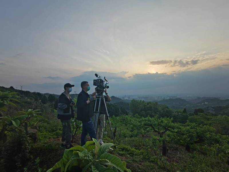 创意破圈！鄂城区电商产品宣传视频用故事化叙事引爆流量