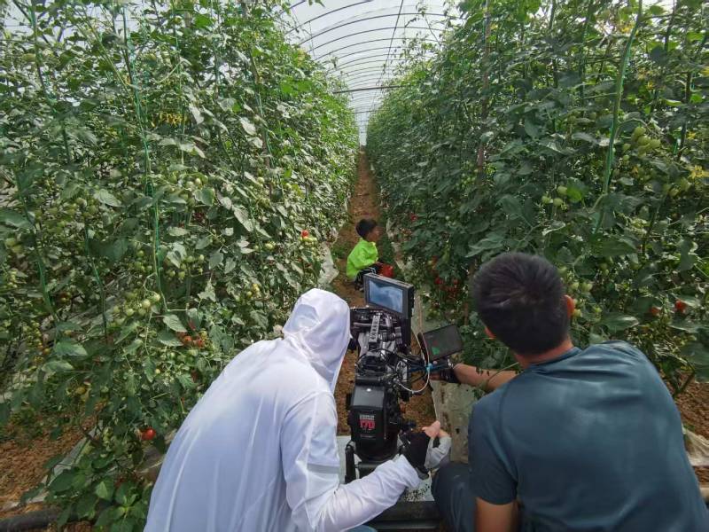 鄂城区产品宣传视频拍摄公司进阶指南，助力品牌抢占传播高地